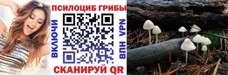 что такое наркотик  Пушкино  Псилоцибиновые грибы MAGIC MUSHROOMS 