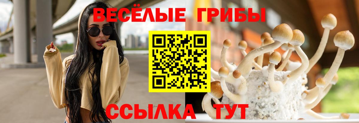 Псилоцибиновые грибы Magic Shrooms  Галлюциногенные грибы мухоморы  Вход с VPN  где купить   Пушкино 